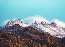 乐鱼体育——开启你的精彩体育人生