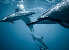 博主分享葛浩然采访片段：期待小钢炮葛浩然的二年级会更好