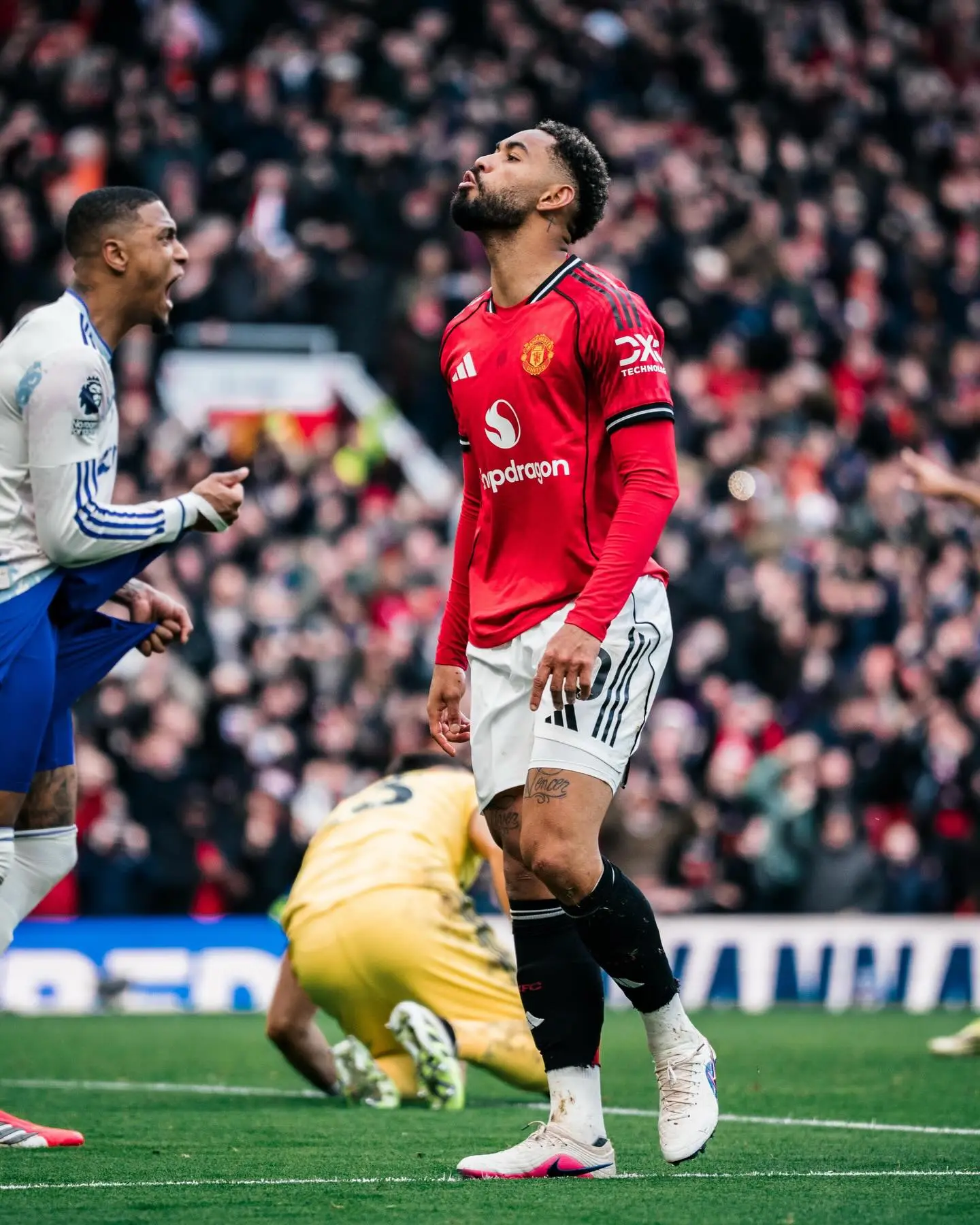 LOL赛事注册-打入一球,库尼亚赛后社媒:酷毙了,美丽的周日